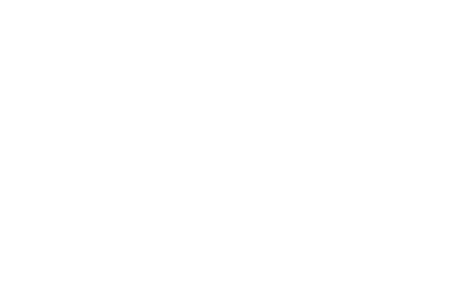 Everybody vs Trudeau